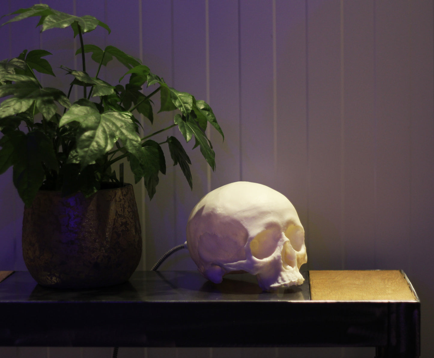 Skull lamp 2.0