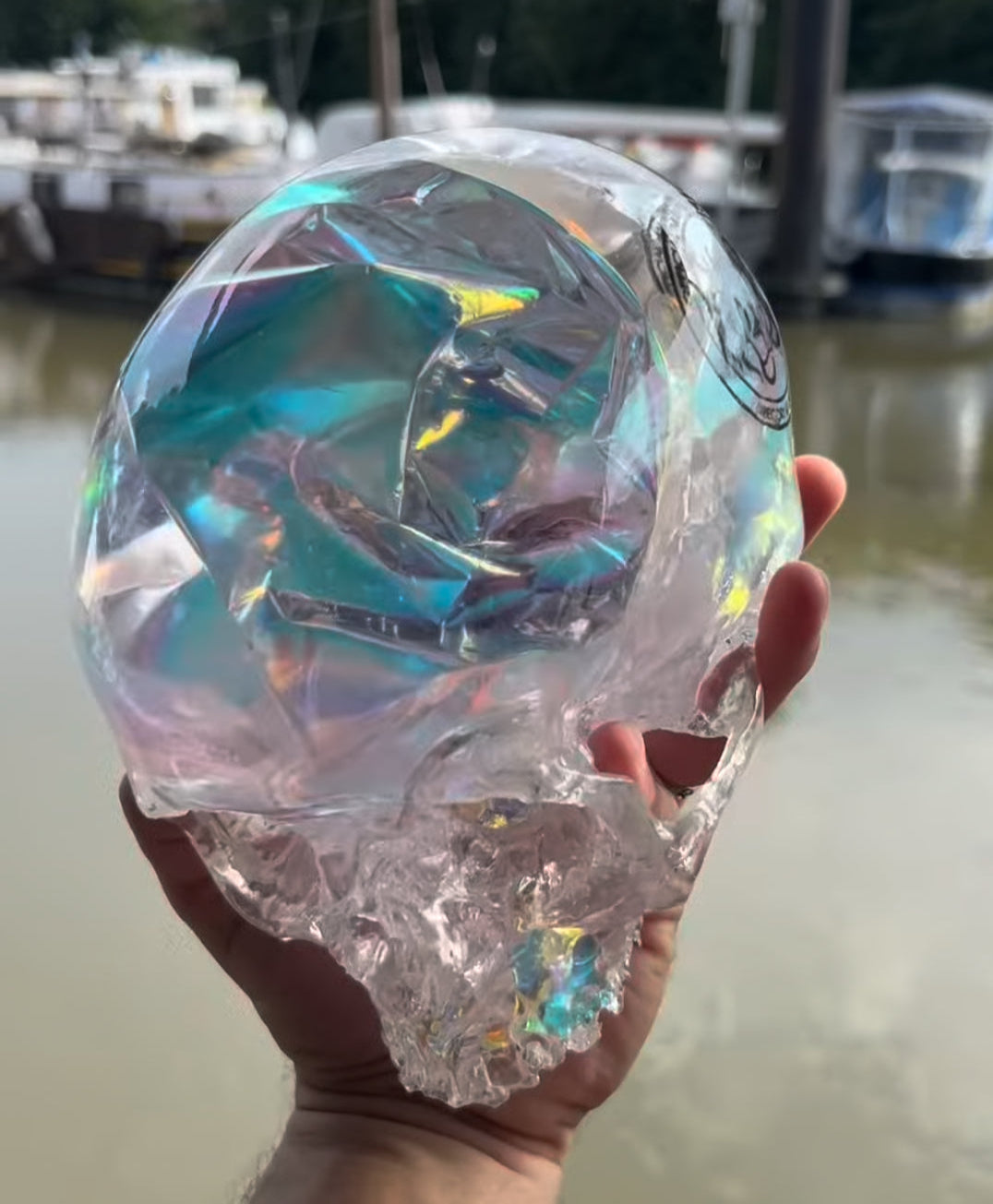 Dichroic crystal skull
